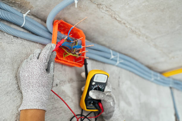Best Home Electrical Repair  in Chenango Bridge, NY
